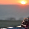 夕陽と愛犬