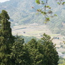 竹田城趾