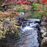 京都・永観堂の紅葉