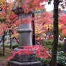 京都・永観堂の紅葉