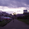 20140404-181948-0