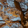 20140404-182445-0