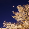 20140404-185908-0