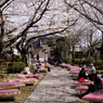 松音寺参道