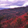 昇仙峡紅葉