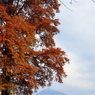富士と紅葉