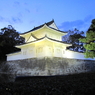 2009京都　二条城01
