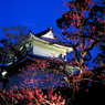 2009京都　二条城03