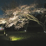 2009京都　二条城07