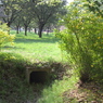 里山の春　トンネルを発見   1607
