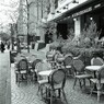 AUX BACCHANALES ⑤