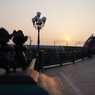 D's ブロンズ　　アーリーモーニング　TDL