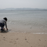 砂浜02