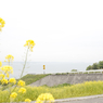 豊島の風景