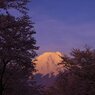 Beautiful mt.fuji 　Ⅴ