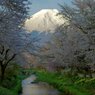 Beautiful mt.fuji 　Ⅵ