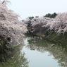 杉の大橋ナウ