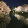 春心ナウ