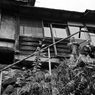 郡上八幡モノクロの旅⑩