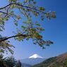 Beautiful mt.fuji　Ⅶ