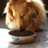 まだ、ごはんあるね