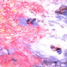 紅流縷々