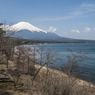 山中湖湖岸のほとり