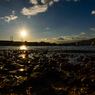 20140115-DSC_1038