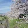 桧木内川春景