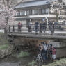 情熱大陸「世界遺産撮り」in 忍野