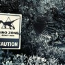 DINO ZONE