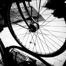 monochrome no 1