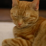眠い！