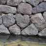 P5040255