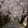 花・小路　（はな・こみち）