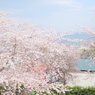 DSCF7056