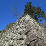 高知城