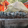 富士山旅行 (29)