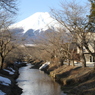富士山旅行 (132)