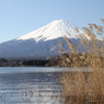 富士山旅行 (170)