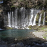 富士山旅行 (226)