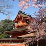 富士山旅行 (266)