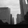 モノクロ銀塩風