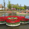 北陸の旅 032