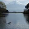 富士山旅行Ⅱ 053