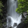 富士山旅行Ⅱ 071