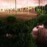 水辺ナウ