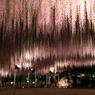 アーチナウ