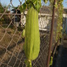 DSC02669