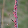 DSC03243